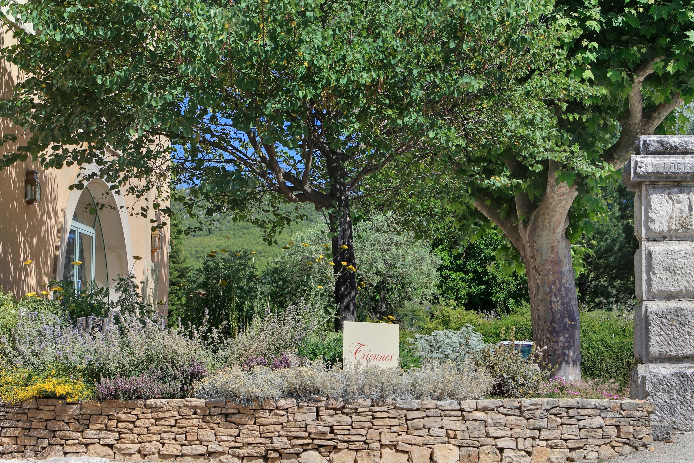 Domaine de Triennes, vignoble provençal